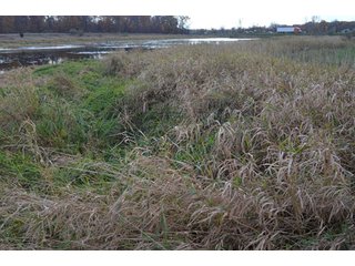 Property photo 69 - 127 Acres Offered in 8 Tracts - Allen & Dekalb County Land